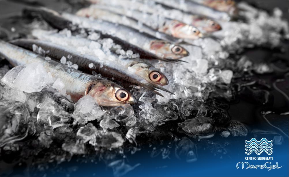 Articolo Blog Centro Surgelati Maregel Palermo