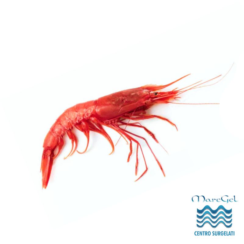 Gambero rosso Mazara