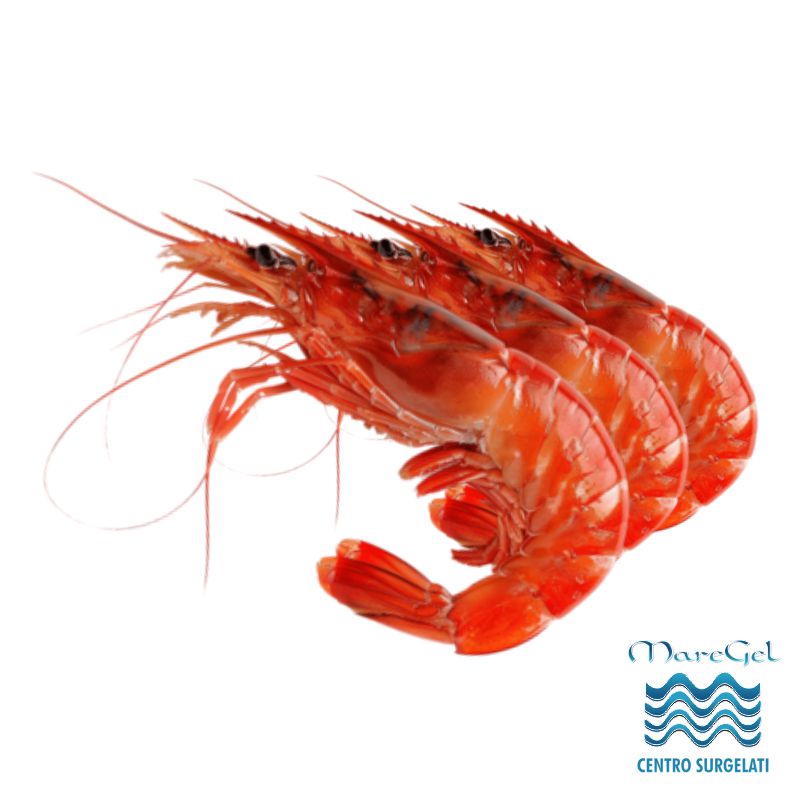 Gambero rosso